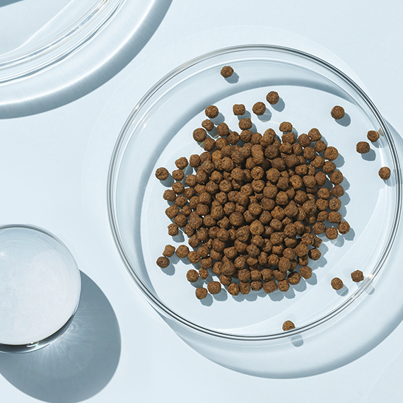 深层 Talk Plus RIMAN Australia